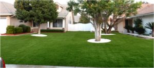 Artificial Grass Maintenance Contractor, Synthetic Lawn Cleaning and Maintenance Henderson NV