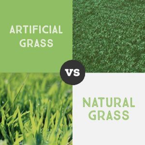 Artificial Grass vs Natural Grass, Artificial Turf Advantages Henderson NV