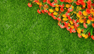 Four Easy Ways To Integrate Flowers With The Best Artificial Grass In Henderson
