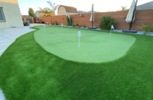 Artificial Grass Challenges Solutions Henderson NV